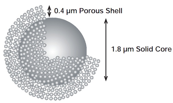 Частицы ядро оболочка. Shell and Core. Core Shell Nanoparticles. Core Shell SSH. Core-Shell structure.